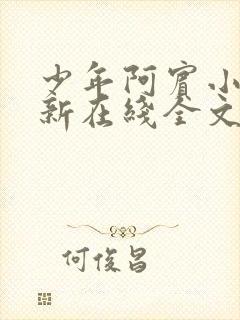 少年阿宾小说最新在线全文阅读