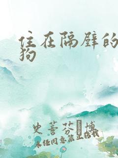 住在隔壁的小狼狗
