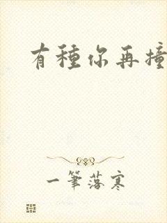 有种你再撞一下
