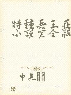 特种兵王在山村小说完全版