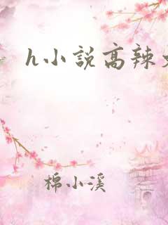h小说高辣文