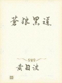 苍狼黑道