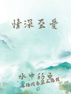 情深至爱