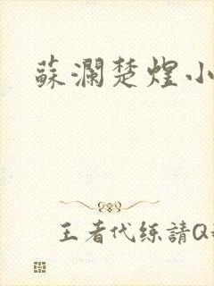 苏澜楚煜小说