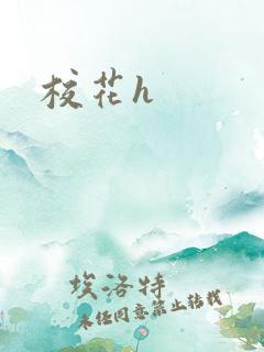 校花h