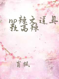 np辣文道具调教高辣