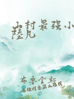 山村最强小神医陆凡