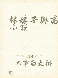 林娘子与高衙内小说