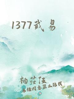 1377武易
