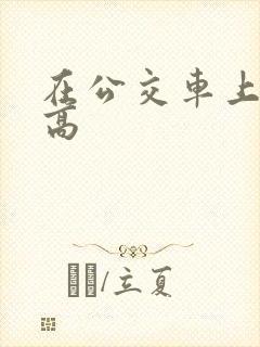 在公交车上弄到高