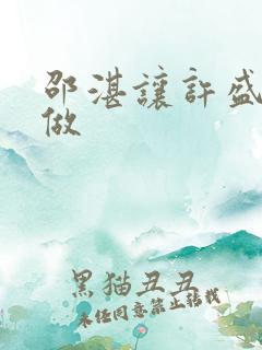 邵湛让许盛自己做