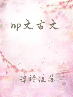 np文古文