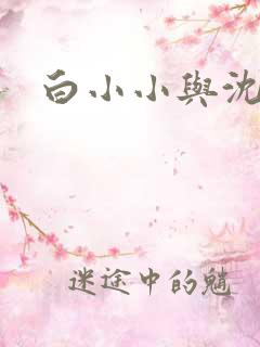 白小小与沈惊觉