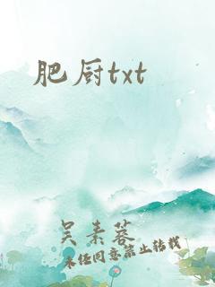 肥厨txt