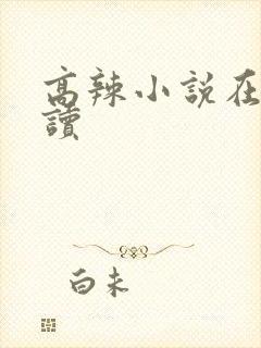 高辣小说在线阅读