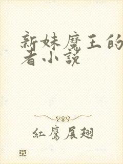新妹魔王的契约者小说
