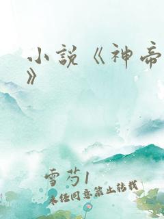 小说《神帝归来》