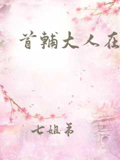 首辅大人在上