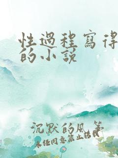 性过程写得详细的小说