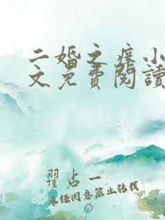 二婚之痒小说全文免费阅读