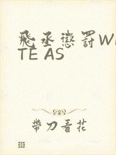 飞丞惩罚WRITE AS