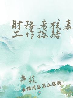财务考核表个人工作总结