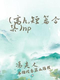 (高h,短篇合集)np