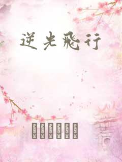 逆光飞行