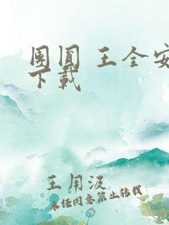团圆 王全安 下载