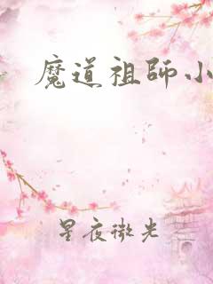魔道祖师小说