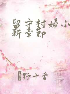 留守村妇小说最新章节