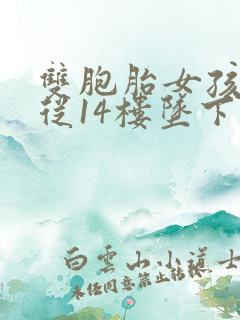 双胞胎女孩双双从14楼坠下