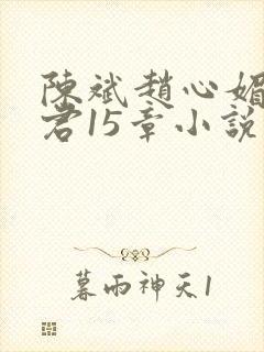 陈斌赵心媚高婉君15章小说