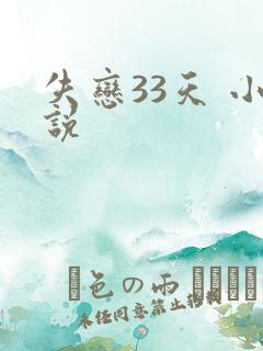 失恋33天 小说