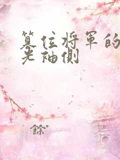 篡位将军的白月光袖侧