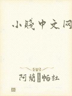 小贱中文网