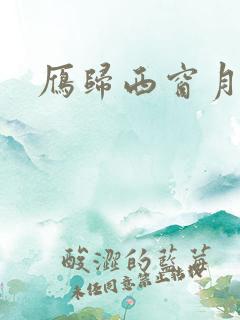 雁归西窗月小说