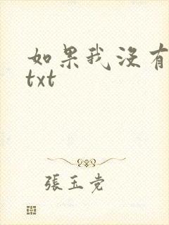 如果我没有爱过txt