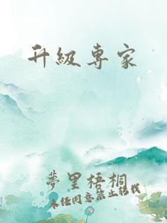 升级专家