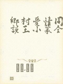 乡村爱情同人小说王小蒙全文阅读