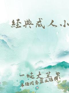 经典成人小说