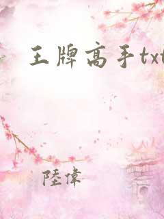 王牌高手txt