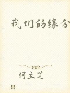 我们的缘分小说