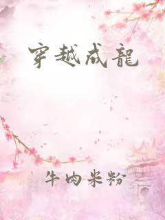 穿越成龙