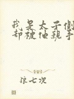 我是太子侧妃,却被他亲手送到了皇上