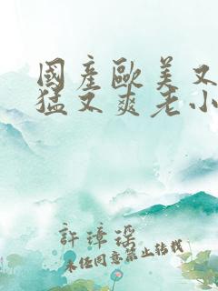 国产欧美又粗又猛又爽老小说