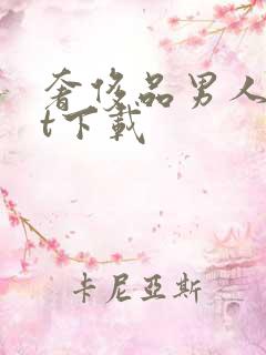奢侈品男人txt下载