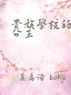 贵族学校的双面公主