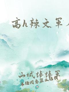 高h辣文军人