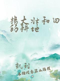 杨大壮和田桂花的耕地